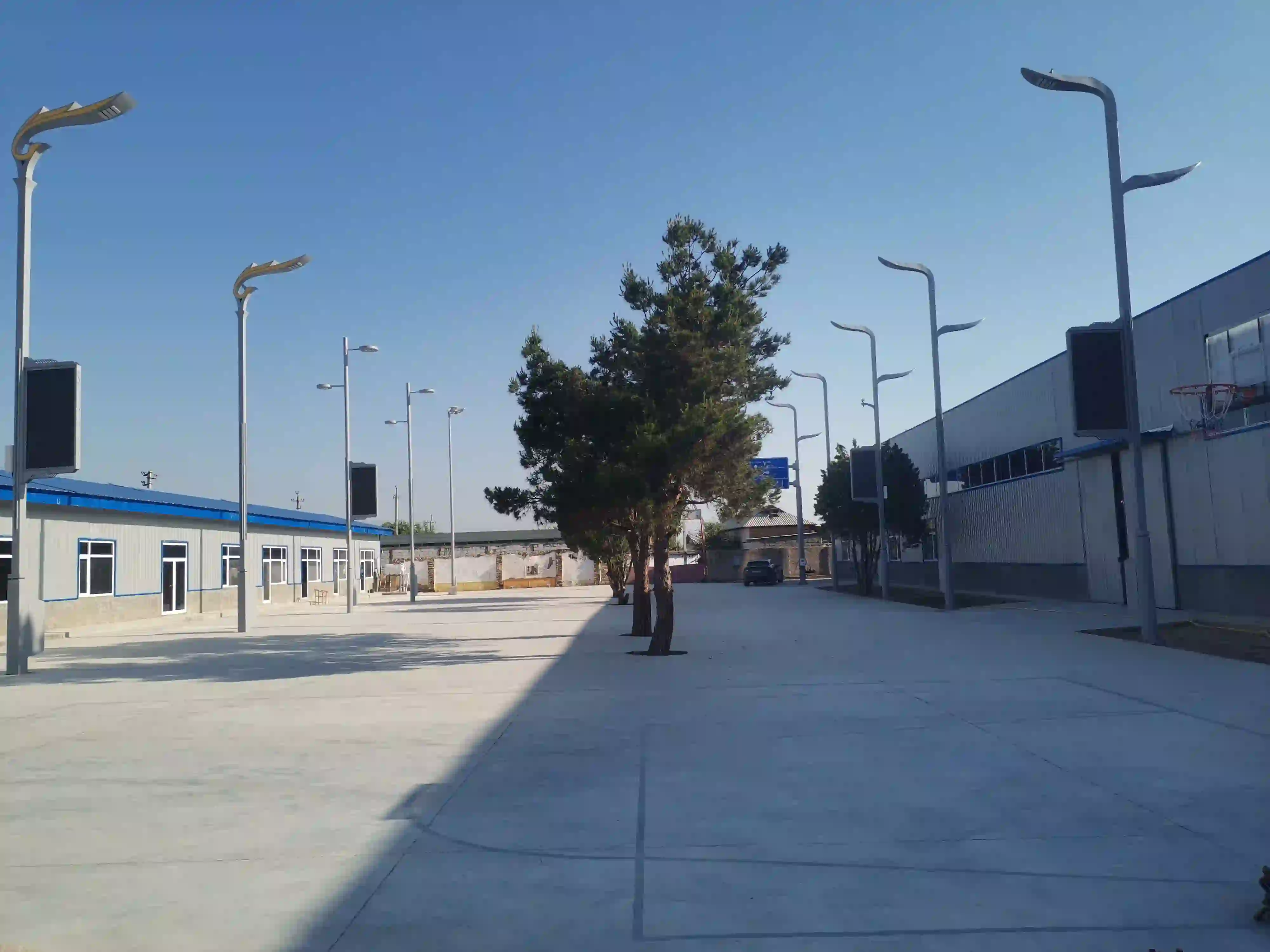 装灯现场 / Lamp Installation